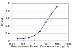 Invitrogen BAF53A Monoclonal Antibody (3C4) 100 &mu;g; Unconjugated:Antibodies,