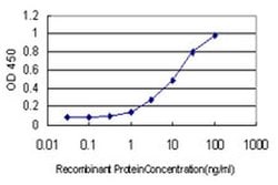 ALDH3B2 Monoclonal Antibody (3E6), Invitrogen 100 &mu;g; Unconjugated:Antibodies,
