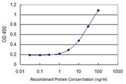 Invitrogen Arginase 2 Monoclonal Antibody (3D10) 100 &mu;g; Unconjugated:Antibodies,