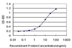 Invitrogen POLR3D Monoclonal Antibody (4E6) 100 &mu;g; Unconjugated:Antibodies,
