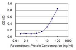 Invitrogen COX15 Monoclonal Antibody (2D2) 100 &mu;g; Unconjugated:Antibodies,