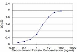 Invitrogen CRYGD Monoclonal Antibody (2H3) 100 &mu;g; Unconjugated:Antibodies,