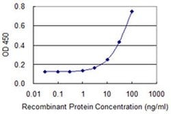 Invitrogen CSTF1 Monoclonal Antibody (1C6) 100 &mu;g; Unconjugated:Antibodies,