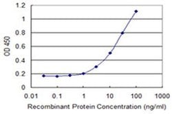 Invitrogen DCK Monoclonal Antibody (2F10) 100 &mu;g; Unconjugated:Antibodies,