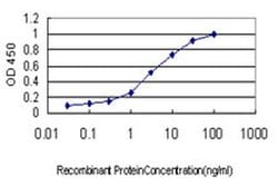 Invitrogen DPYS Monoclonal Antibody (3B1) 100 &mu;g; Unconjugated:Antibodies,