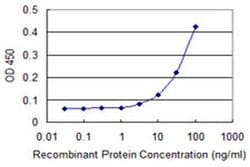 Invitrogen Ephrin A3 Monoclonal Antibody (1C12) 100 &mu;g; Unconjugated:Antibodies,