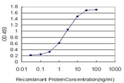 Invitrogen EphB3 Monoclonal Antibody (4E9) 100 &mu;g; Unconjugated:Antibodies,