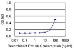 Invitrogen Glypican 5 Monoclonal Antibody (1C9) 100 &mu;g; Unconjugated:Antibodies,