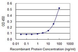 GK2 Monoclonal Antibody (3G4), Invitrogen 100 &mu;g; Unconjugated:Antibodies,