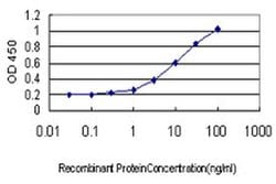 Invitrogen Glycerol kinase 3 Monoclonal Antibody (2H4) 100 &mu;g; Unconjugated:Antibodies,