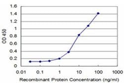 Invitrogen HOXA5 Monoclonal Antibody (3E8) 100 &mu;g; Unconjugated:Antibodies,
