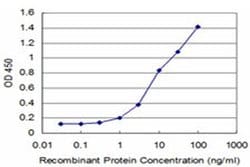 HOXA5 Monoclonal Antibody (3E8), Invitrogen&trade; 100 &mu;g; Unconjugated 