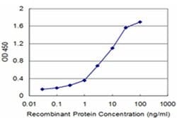 Invitrogen HOXB5 Monoclonal Antibody (3F10) 100 &mu;g; Unconjugated:Antibodies,