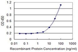Invitrogen HSPA4 Monoclonal Antibody (3A11) 100 &mu;g; Unconjugated:Antibodies,
