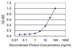 Invitrogen IDH3G Monoclonal Antibody (2A2-1D3) 100 &mu;g; Unconjugated:Antibodies,
