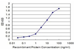 Invitrogen MCM3 Monoclonal Antibody (2H3) 100 &mu;g; Unconjugated:Antibodies,
