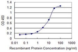 Invitrogen NUBP1 Monoclonal Antibody (2B11) 100 &mu;g; Unconjugated:Antibodies,