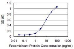 Invitrogen Nebulin Monoclonal Antibody (1F4) 100 &mu;g; Unconjugated:Antibodies,