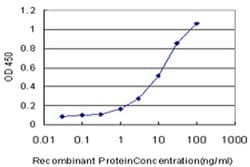 HEN1/HEN2 Monoclonal Antibody (2A3), Invitrogen 100 &mu;g; Unconjugated:Antibodies,