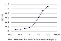Invitrogen NHP2L1 Monoclonal Antibody (5C5) 100 &mu;g; Unconjugated:Antibodies,