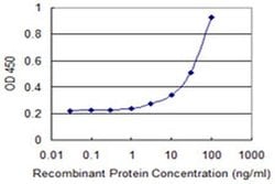 Invitrogen NTF4 Monoclonal Antibody (1G12) 100 &mu;g; Unconjugated:Antibodies,