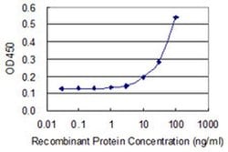 Invitrogen OVOL1 Monoclonal Antibody (1B3) 100 &mu;g; Unconjugated:Antibodies,