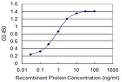 Invitrogen LIS1 Monoclonal Antibody (5A5) 100 &mu;g; Unconjugated:Antikroppar