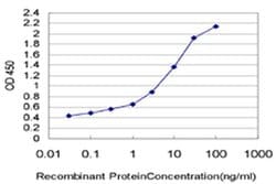 Invitrogen PDE3B Monoclonal Antibody (4A4) 100 &mu;g; Unconjugated:Antibodies,