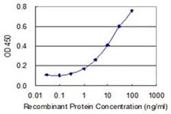 Invitrogen PIGC Monoclonal Antibody (1G2) 100 &mu;g; Unconjugated:Antibodies,