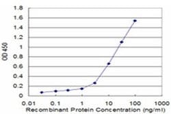 Invitrogen RABIF Monoclonal Antibody (3A6) 100 &mu;g; Unconjugated:Antibodies,