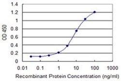 Invitrogen Ribophorin I Monoclonal Antibody (4B1-1E6) 100 &mu;g; Unconjugated:Antibodies,