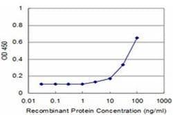 Invitrogen RPS20 Monoclonal Antibody (1G12) 100 &mu;g; Unconjugated:Antibodies,
