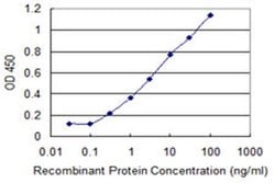Invitrogen SNAPC4 Monoclonal Antibody (3F10) 100 &mu;g; Unconjugated:Antibodies,