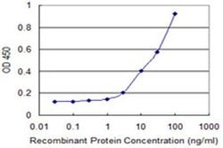 Invitrogen SSR2 Monoclonal Antibody (4C1) 100 &mu;g; Unconjugated:Antibodies,