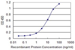Invitrogen KLF10 Monoclonal Antibody (3E11) 100 &mu;g; Unconjugated:Antibodies,