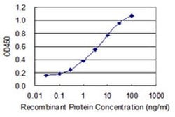 Invitrogen ZNF7 Monoclonal Antibody (6F2) 100 &mu;g; Unconjugated:Antibodies,