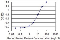Invitrogen ZNF23 Monoclonal Antibody (2D3) 100 &mu;g; Unconjugated:Antibodies,
