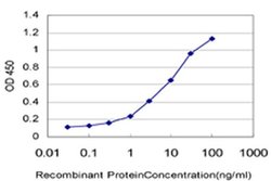 Invitrogen ZNF136 Monoclonal Antibody (5E9) 100 &mu;g; Unconjugated:Antibodies,