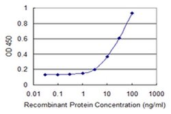 Invitrogen TRIM26 Monoclonal Antibody (1G3) 100 &mu;g; Unconjugated:Antibodies,