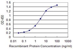 Invitrogen ZNF192 Monoclonal Antibody (3B10) 100 &mu;g; Unconjugated:Antibodies,
