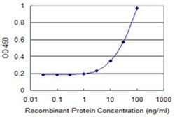 Invitrogen eIF3i Monoclonal Antibody (3B10) 100 &mu;g; Unconjugated:Antibodies,