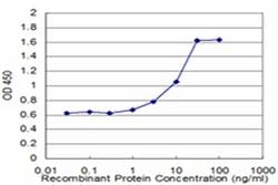 Invitrogen HESX1 Monoclonal Antibody (2C4) 100 &mu;g; Unconjugated:Antibodies,