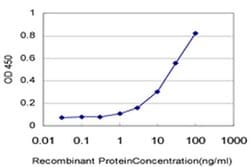 Invitrogen BUD31 Monoclonal Antibody (1E10) 100 &mu;g; Unconjugated:Antibodies,