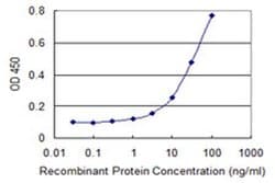Invitrogen PKMYT1 Monoclonal Antibody (2A3) 100 &mu;g; Unconjugated:Antibodies,