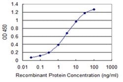 Invitrogen CRSP130 Monoclonal Antibody (4H6) 100 &mu;g; Unconjugated:Antibodies,