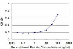 Invitrogen BAG4 Monoclonal Antibody (2G9) 100 &mu;g; Unconjugated:Antibodies,