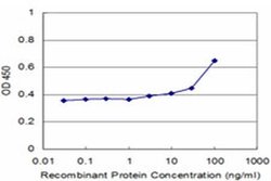 Invitrogen NR1D1 Monoclonal Antibody (1F4) 100 &mu;g; Unconjugated:Antibodies,