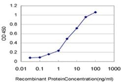 Invitrogen PCDHGA8 Monoclonal Antibody (1C11) 100 &mu;g; Unconjugated:Antibodies,