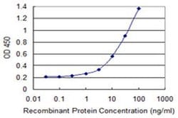 Invitrogen Syntaphilin Monoclonal Antibody (3B6) 100 &mu;g; Unconjugated:Antibodies,