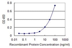 Invitrogen ZNF96 Monoclonal Antibody (3E4) 100 &mu;g; Unconjugated:Antibodies,